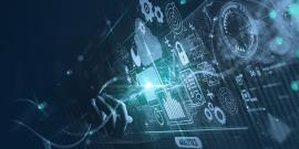 custom web development