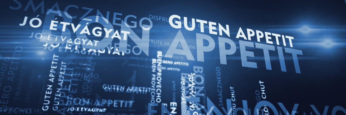 multilingual drupal website